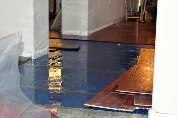 Professional Basement Flooding technician working in Stowell, TX